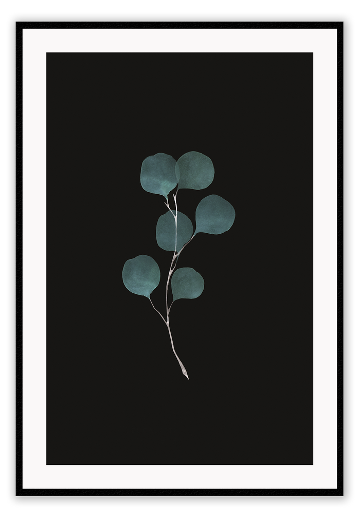 eucalyptus green mimimal botanical framed art wall print artificial plant black background sketch