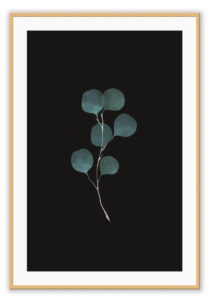 eucalyptus green mimimal botanical framed art wall print artificial plant black background sketch