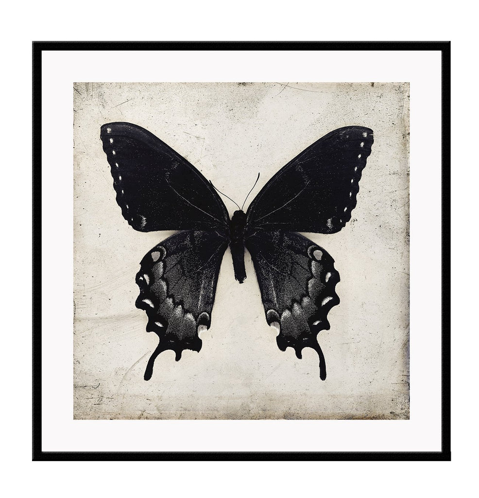 Square butterfly print with vintage paper background and black insect with wings extended 