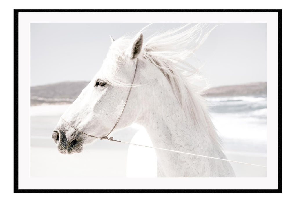 Boho style horse on a beach in black and white neutral tones with horse profile blowing in the wind 
