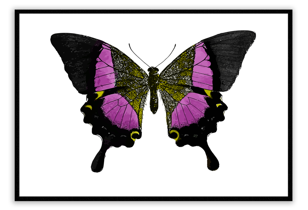 Landscape butterfly print with pink and black yellow insect wings on white background