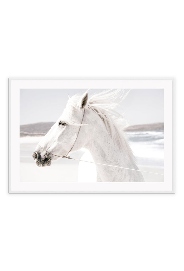 Boho style horse on a beach in black and white neutral tones with horse profile blowing in the wind 