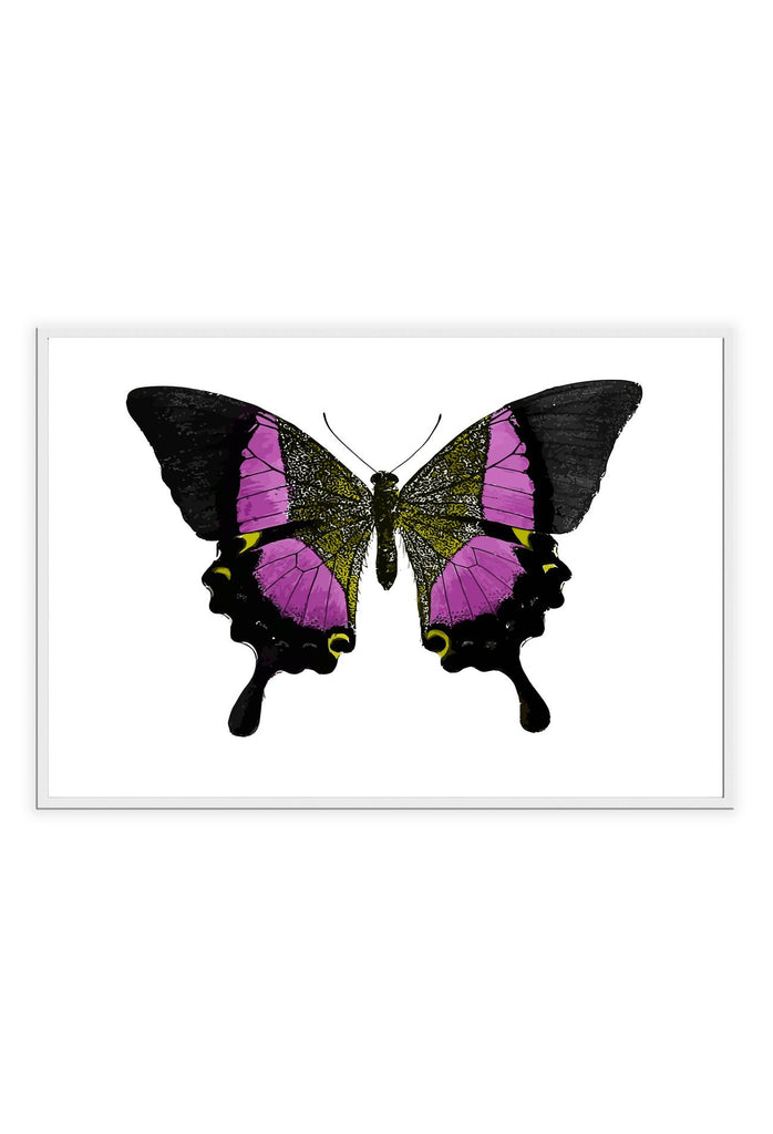 Landscape butterfly print with pink and black yellow insect wings on white background