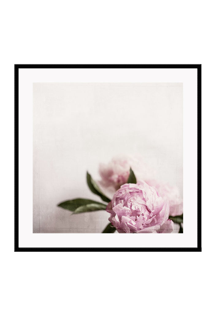 A natural floral wall art with pink rose on white textured canvas background.
