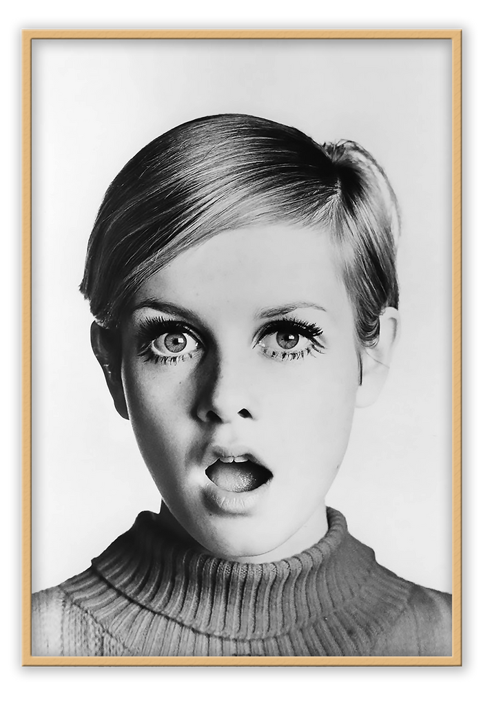 twiggy framed art print  