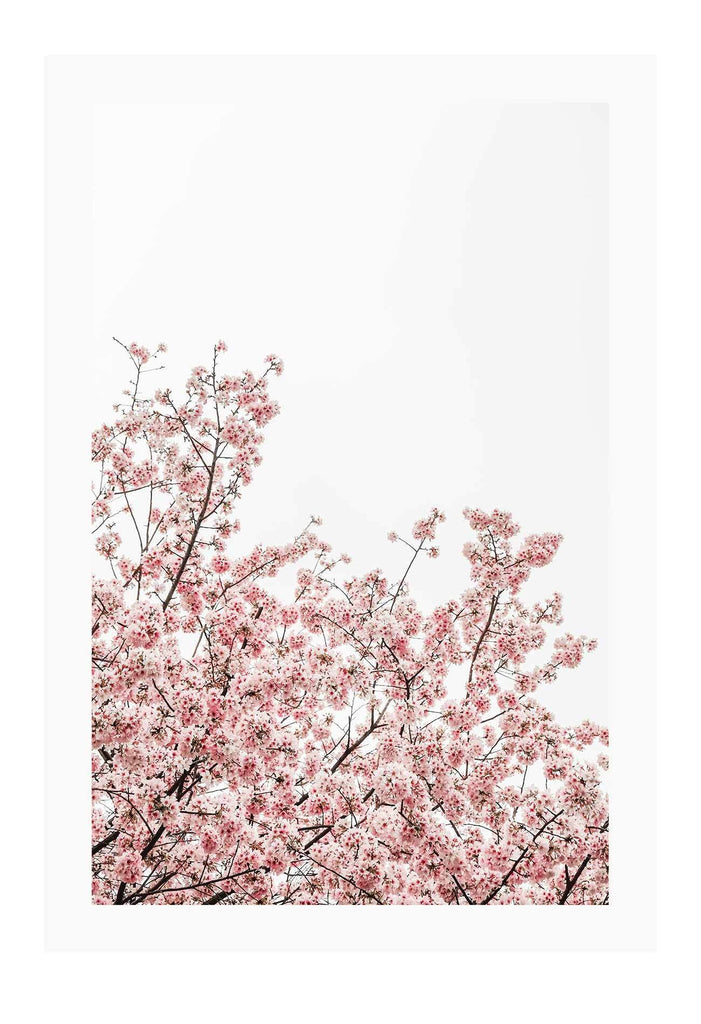 A natural wall art with pink tree and blossoms in New York City. 