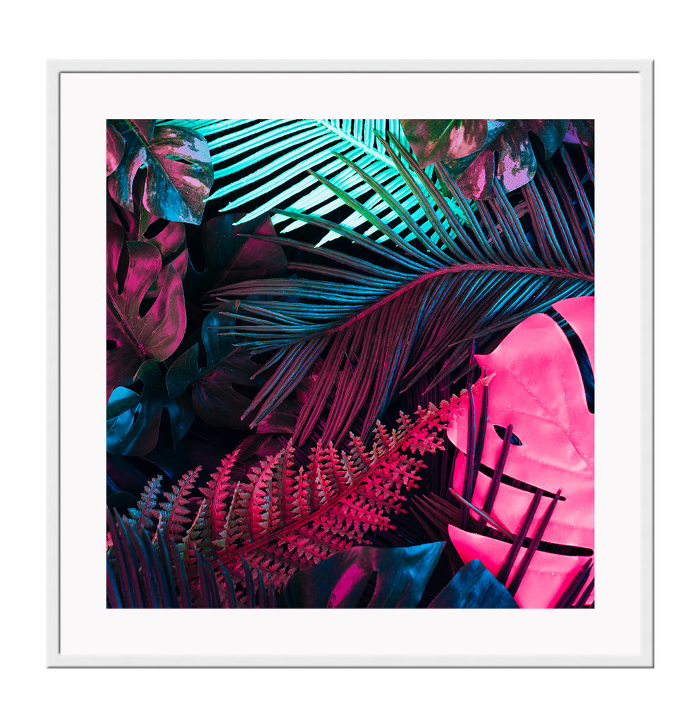 Square colourful tropical photography print with teal, pink and black vibrant colours on black background 