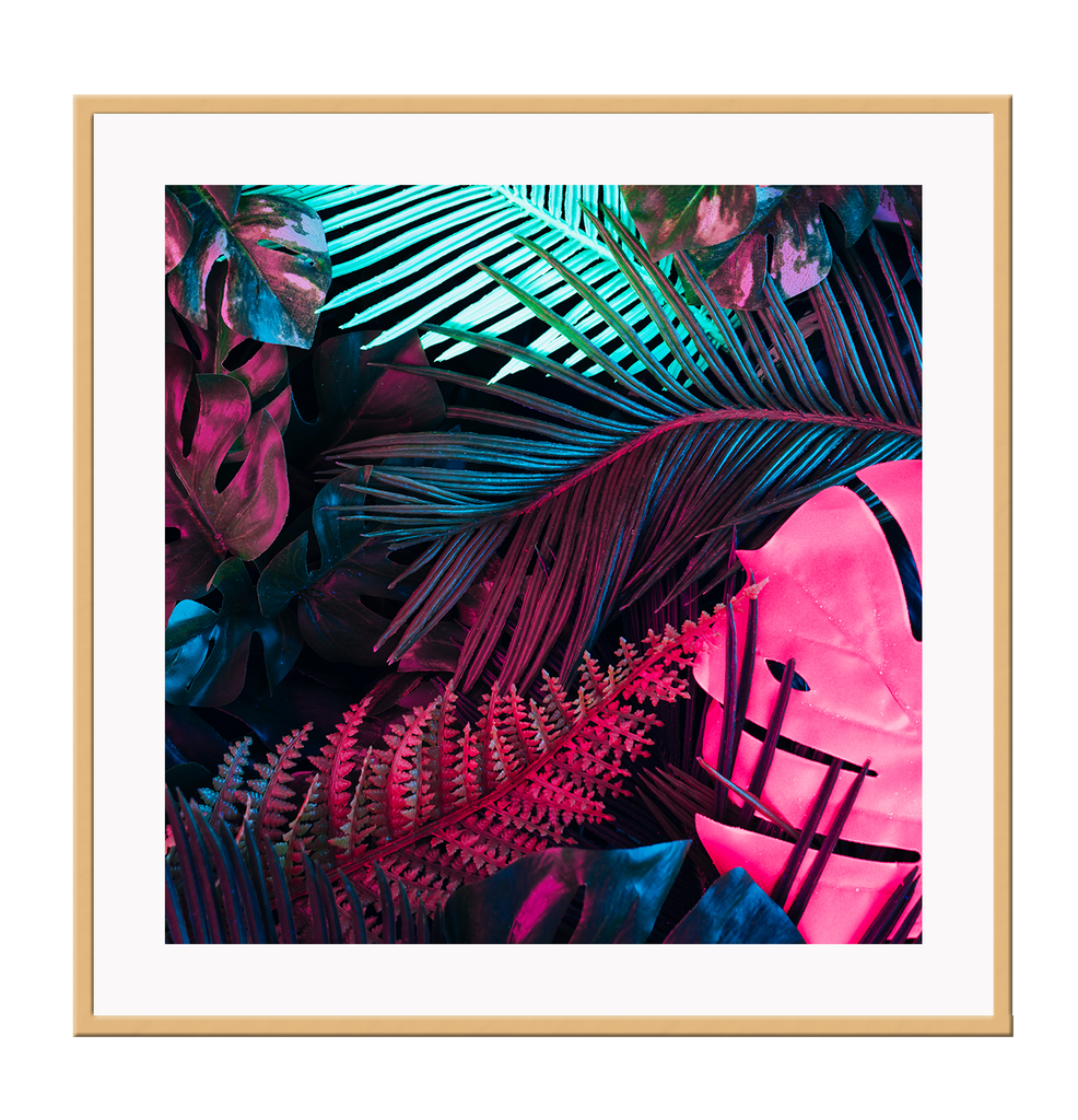 Square colourful tropical photography print with teal, pink and black vibrant colours on black background 