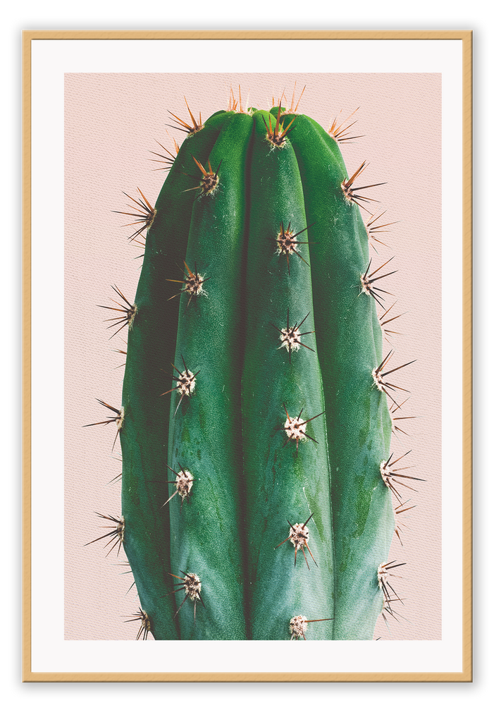 Natural print with a close-up of a green cactus on a peach pink background. 