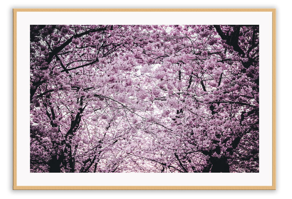 A natural floral wall art with pink and purple cherry blossoms in Japan spring girly. 