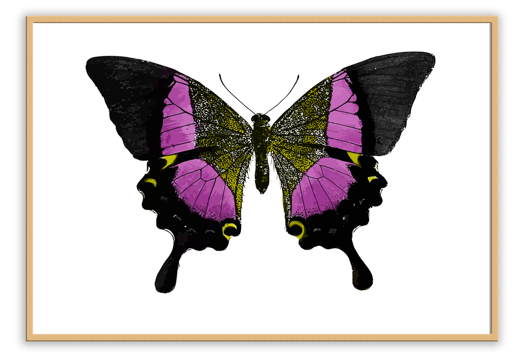 Landscape butterfly print with pink and black yellow insect wings on white background