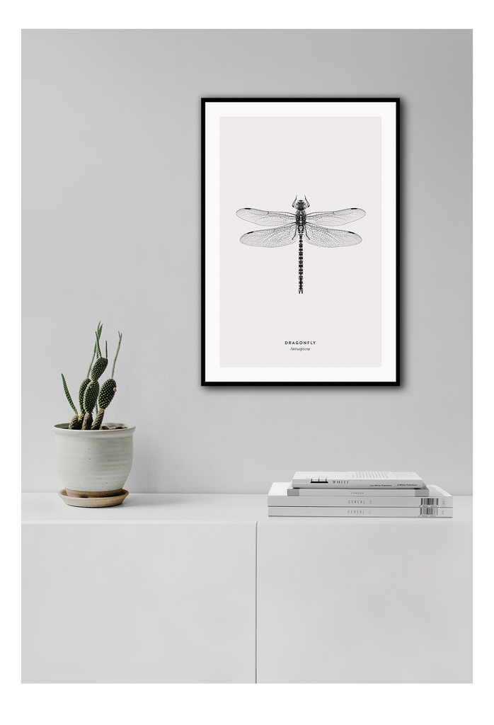 A black and white dragonfly insect sample-like wall art.