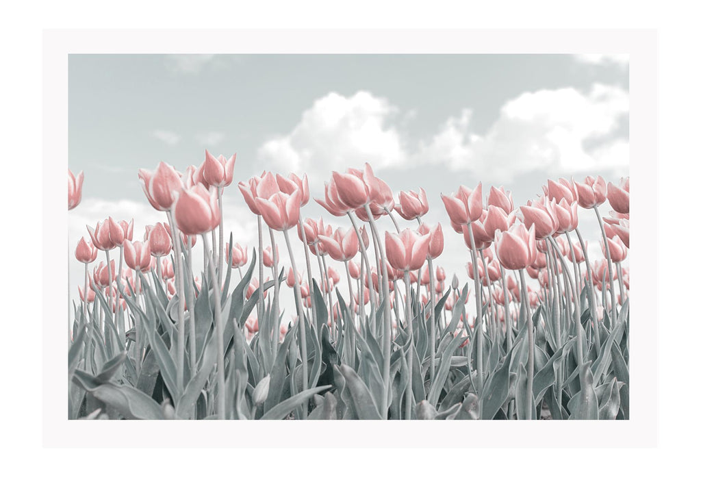 Tulips in field spring garden landscape print with pink and grey tones with clouds 