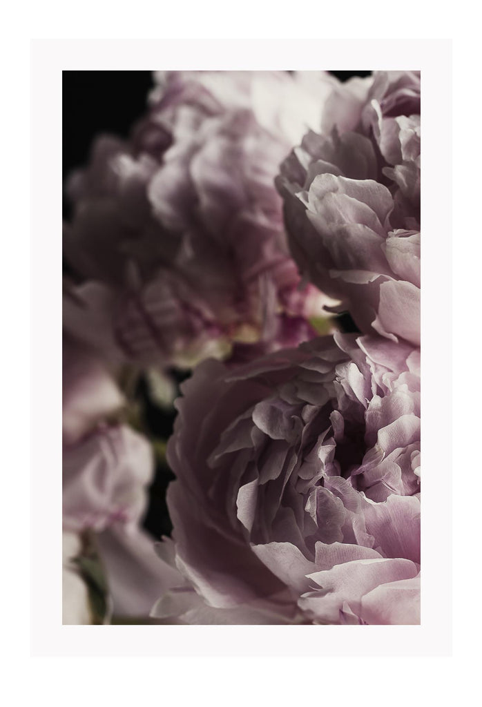 A natural floral wall art with pink flowers on black background.