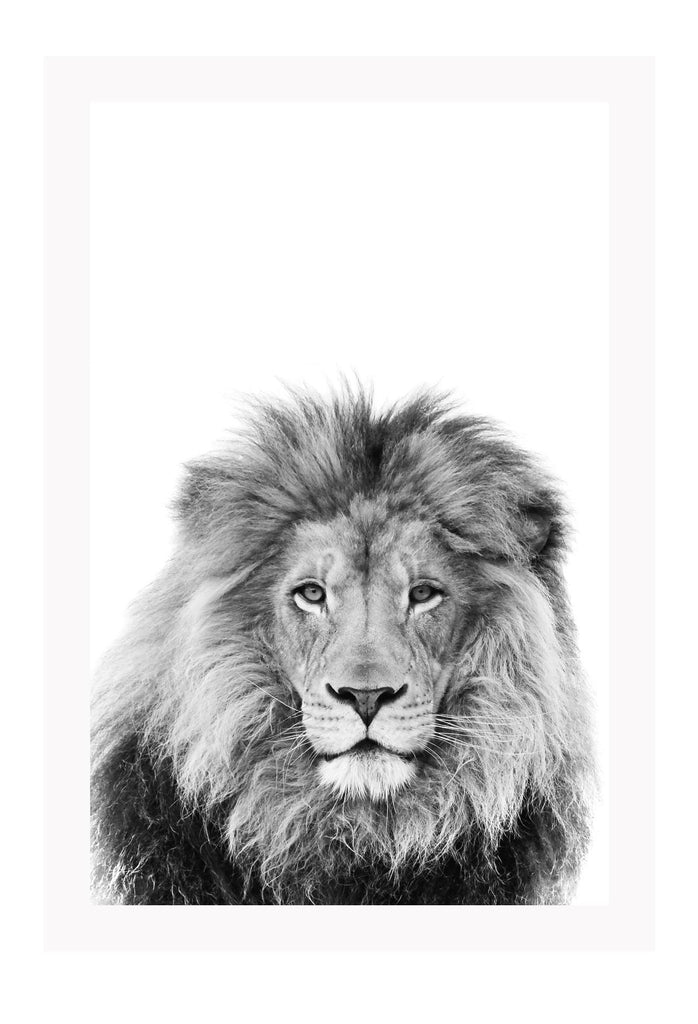 A black and white natural wall art of a lion sketch.