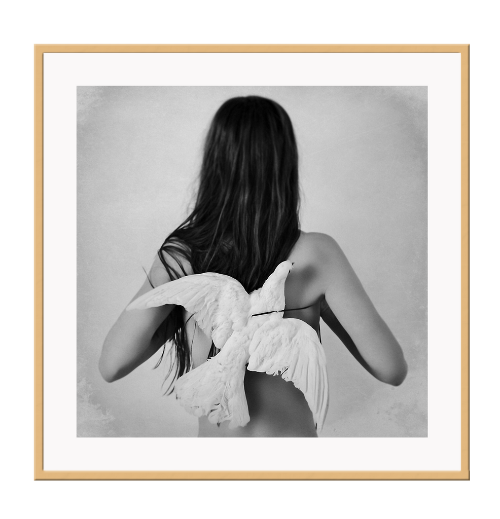 A black and white wall art with a naked women wearing a dove wing in misty grey cloud facing backwards. 
