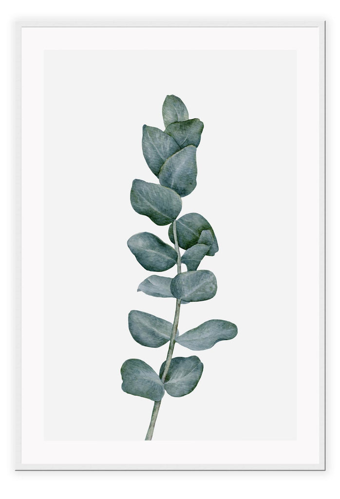 A natural wall art with a green sketch of Eucalyptus plant leaf bunch on white background.